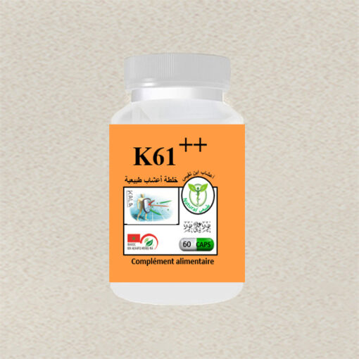 K61++-60