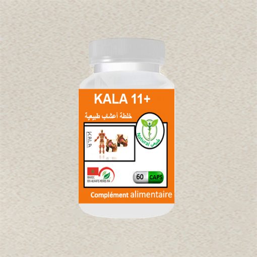 k11_