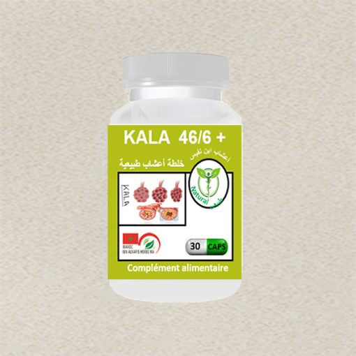K46-6